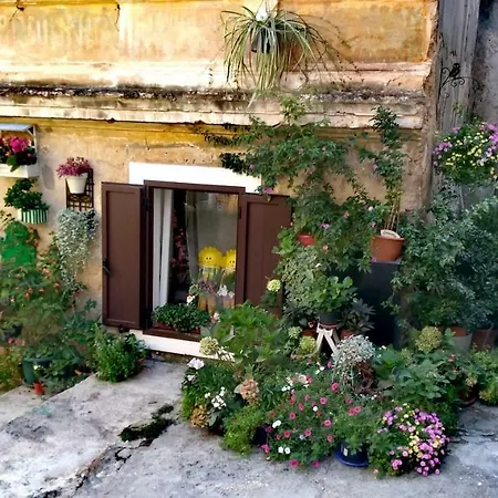 Flora Διαμέρισμα *